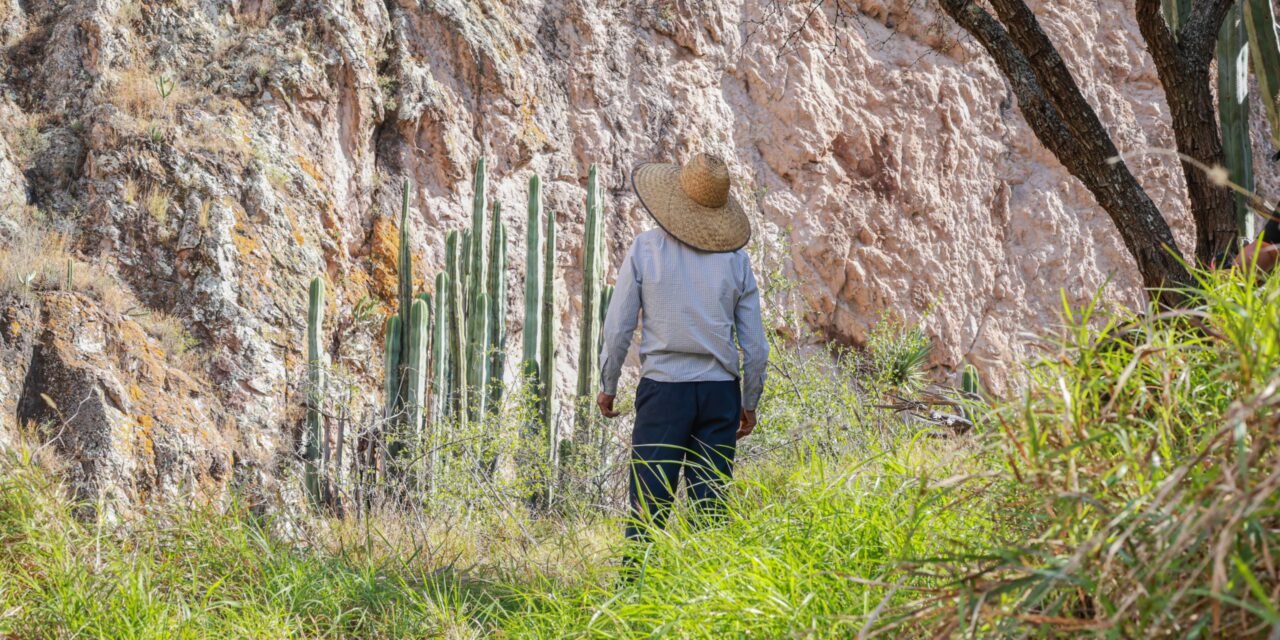 KOUA: espacio ideal para el turismo de aventura en Hidalgo