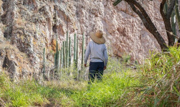 KOUA: espacio ideal para el turismo de aventura en Hidalgo