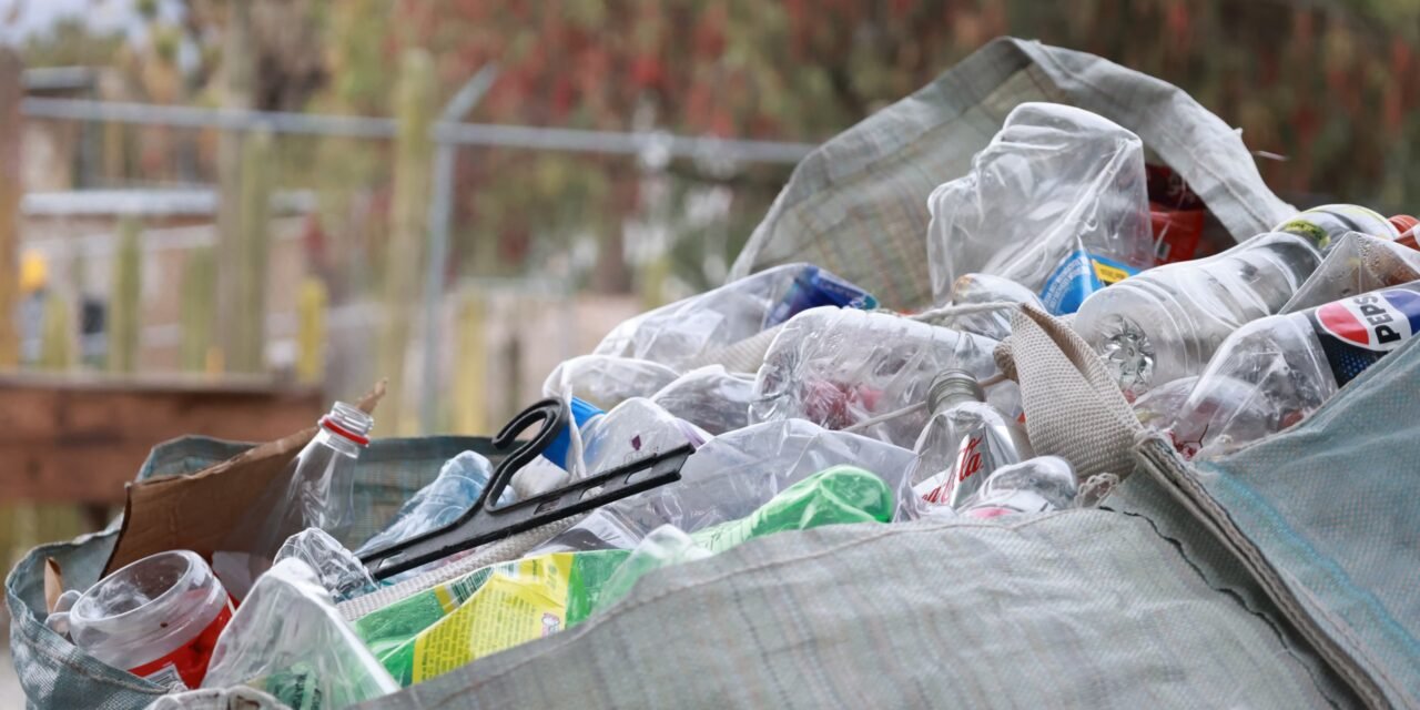 Reciclaje, eje de transformación en Hidalgo