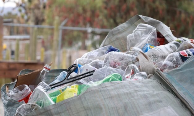 Reciclaje, eje de transformación en Hidalgo