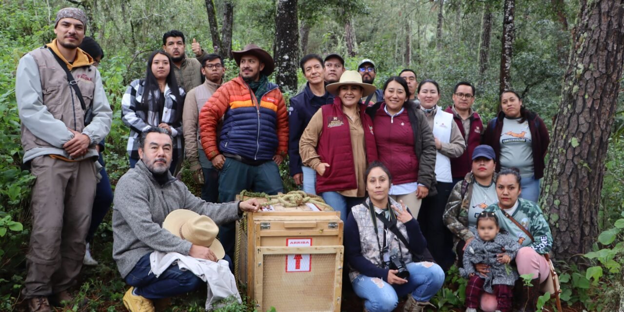 Hidalgo prioriza acciones a favor de su biodiversidad