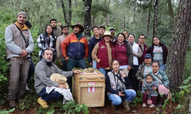 Hidalgo prioriza acciones a favor de su biodiversidad