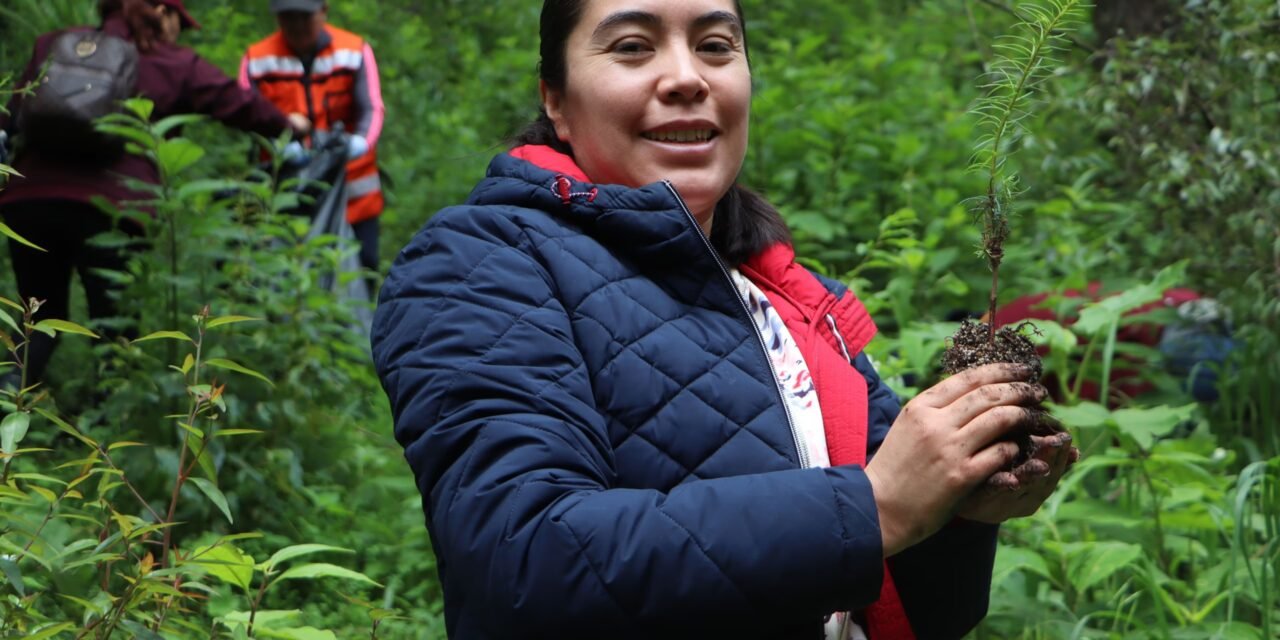 Semarnath conmemora el 44 aniversario del Parque Nacional El Chico con la plantación de 3 mil 500 árboles