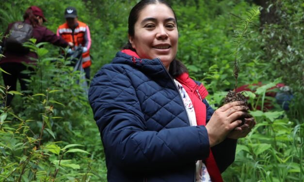 Semarnath conmemora el 44 aniversario del Parque Nacional El Chico con la plantación de 3 mil 500 árboles