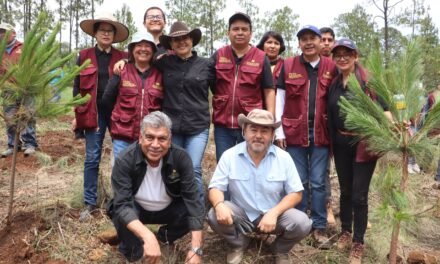 Semarnath y Ayuntamiento de Pachuca invitan a participar en la creación del primer refugio climático urbano de Hidalgo
