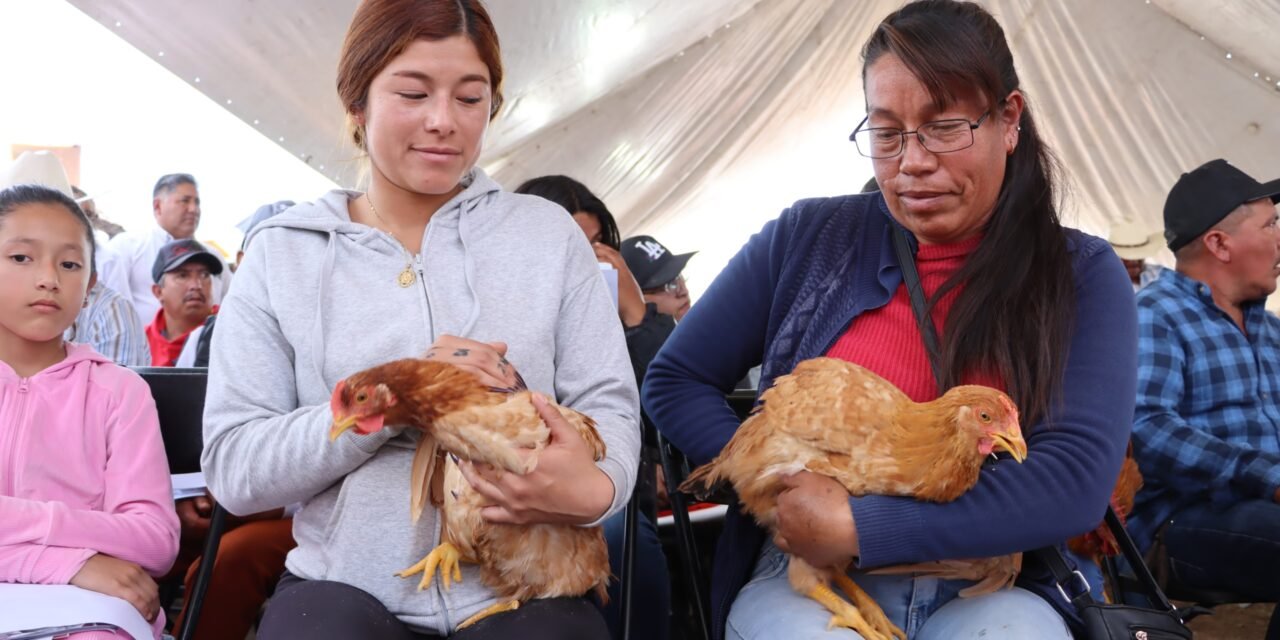 Gobierno de Hidalgo impulsa a las mujeres con más de 234.5 millones de pesos en apoyos rurales